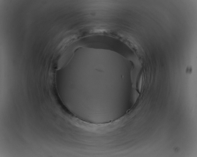 X0000094460035200711211551