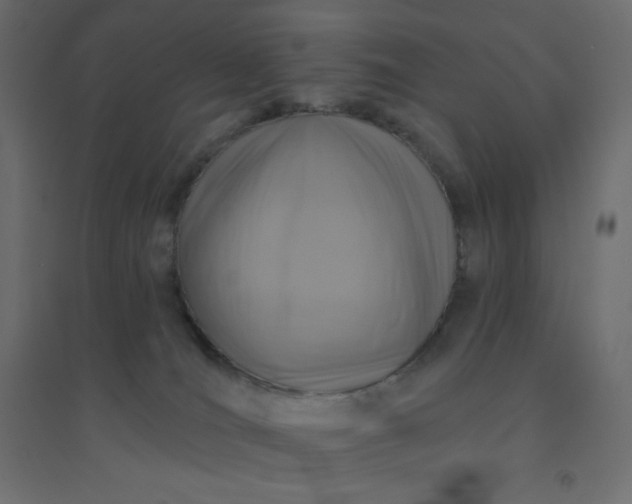 X0000094460036200711211551