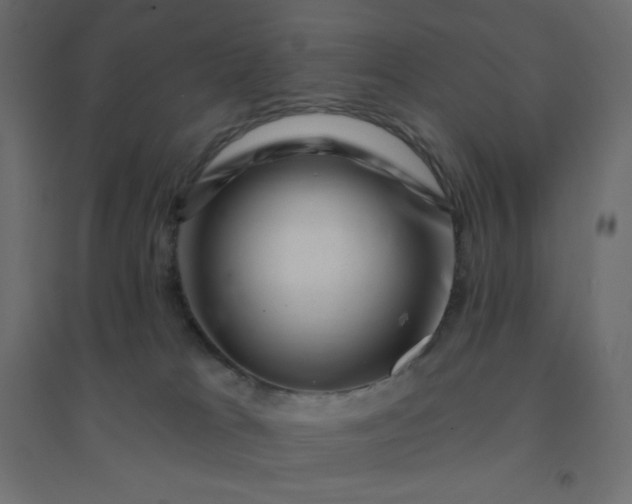 X0000094460037200711211551