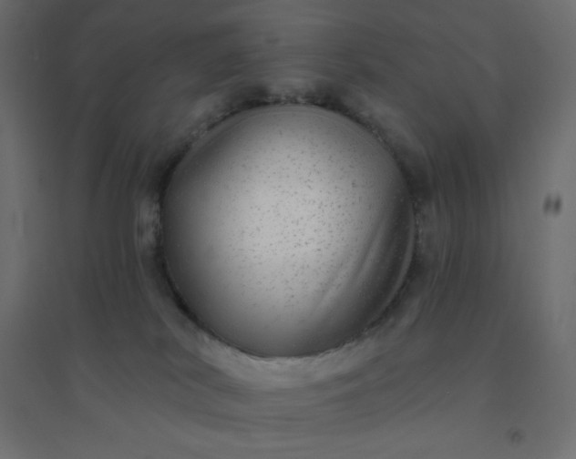 X0000094460038200711211551