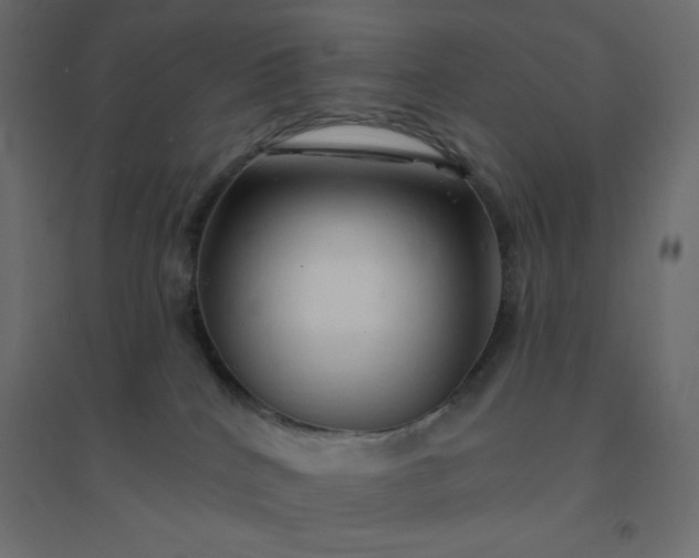 X0000094460040200711211551