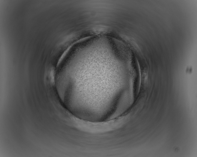 X0000094460042200711211550