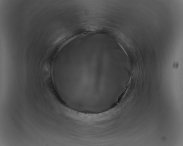 X0000094460043200711211550