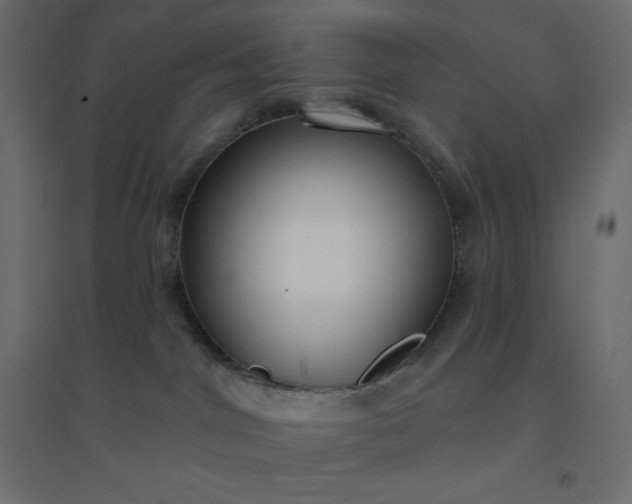 X0000094460044200711211550