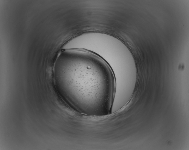 X0000094460045200711211550