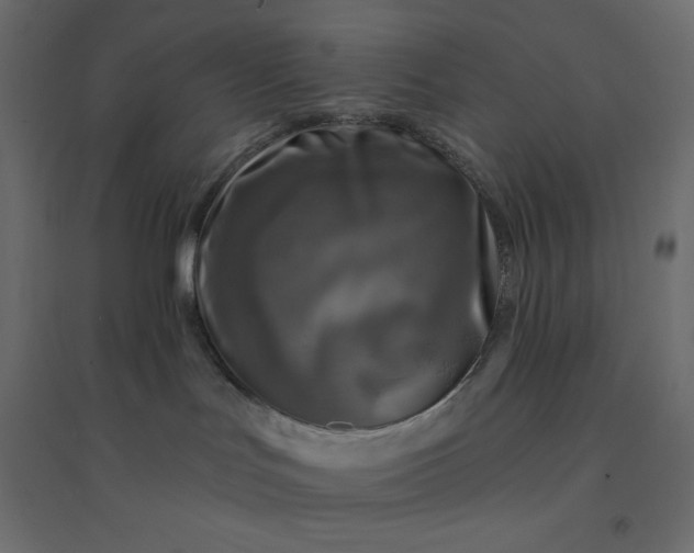 X0000094460047200711211550