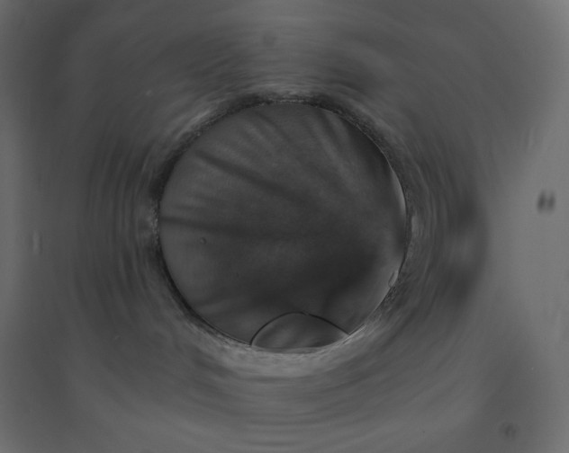 X0000094460048200711211550