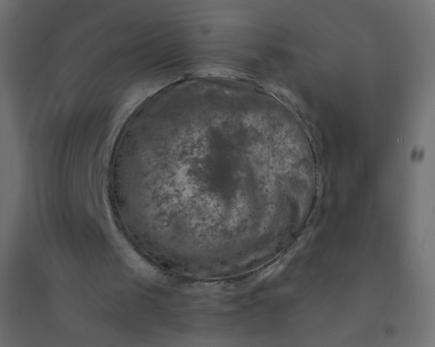 X0000094460049200711211550