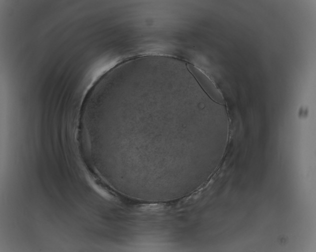 X0000094460050200711211550