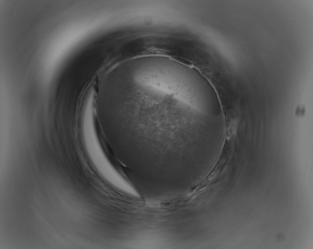 X0000094460052200711211550