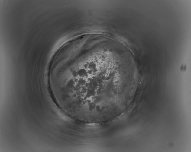 X0000094460053200711211550