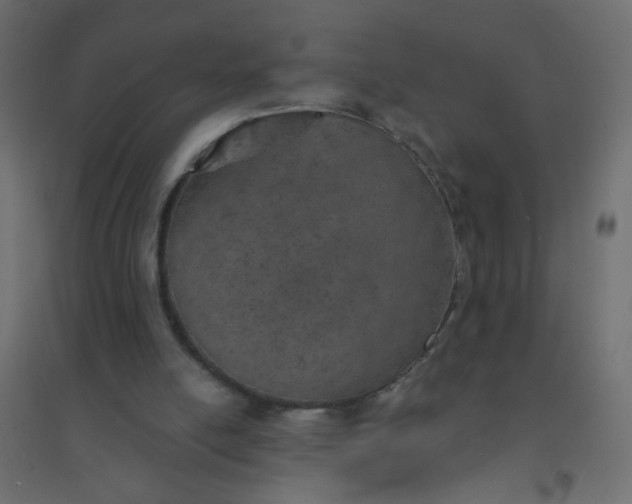 X0000094460054200711211550