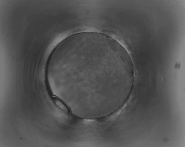 X0000094460055200711211550