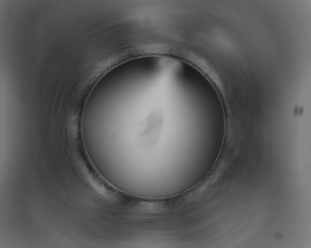 X0000094460057200711211550