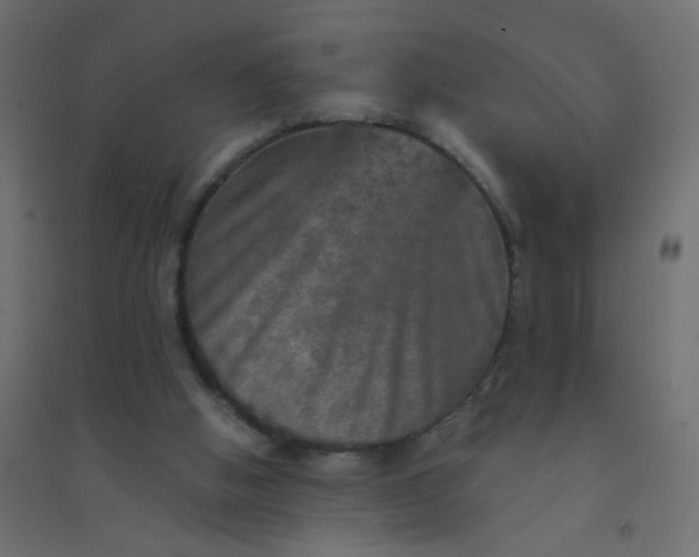 X0000094460058200711211550