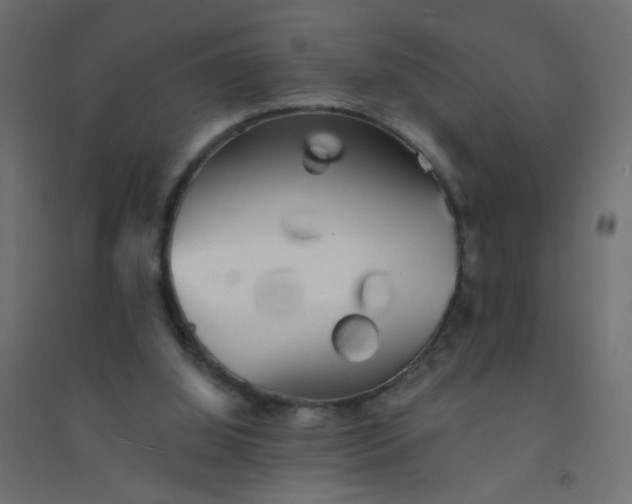 X0000094460060200711211550