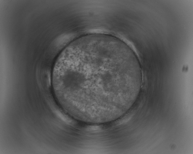 X0000094460061200711211550