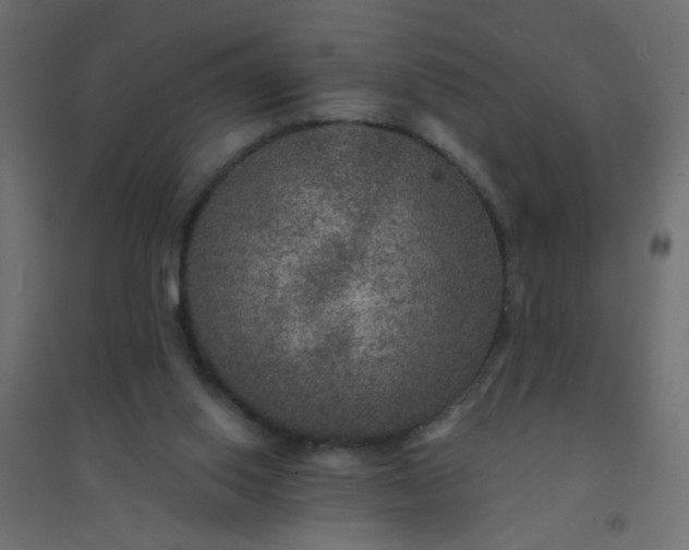 X0000094460062200711211550