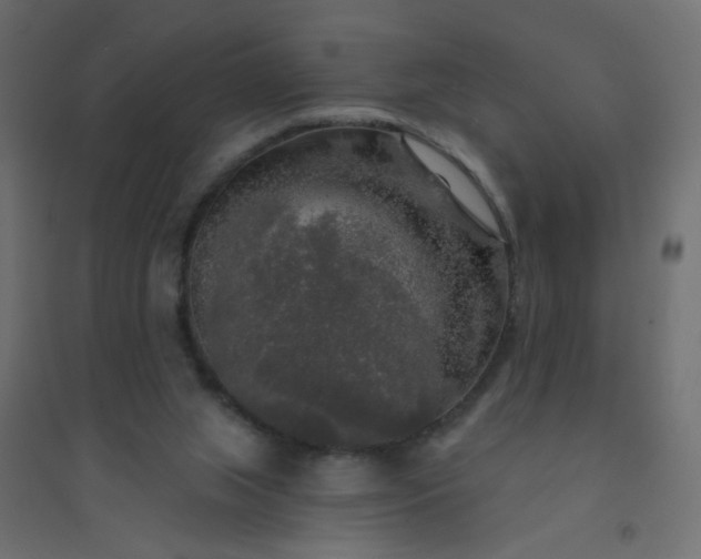 X0000094460063200711211550