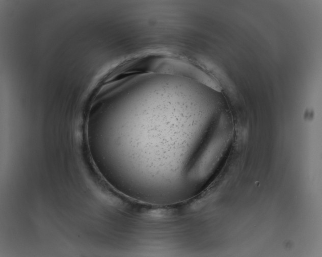 X0000094460064200711211550