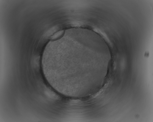 X0000094460066200711211550