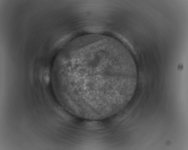 X0000094460069200711211550