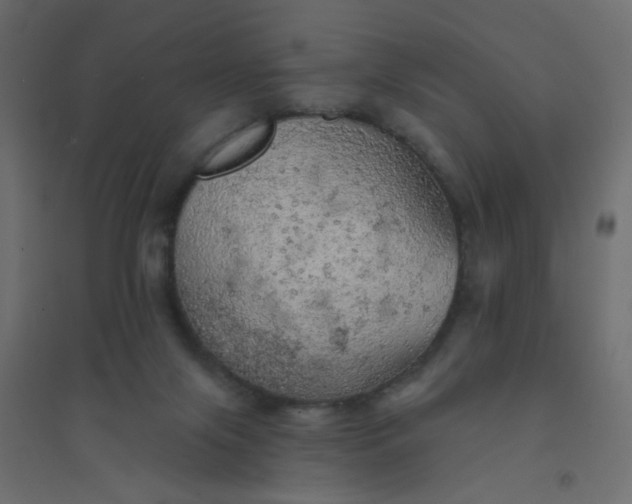 X0000094460071200711211550