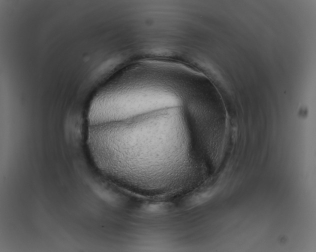 X0000094460072200711211550