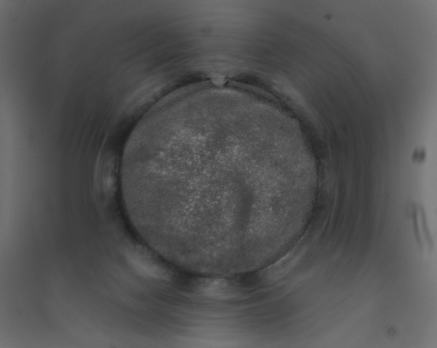 X0000094460074200711211550