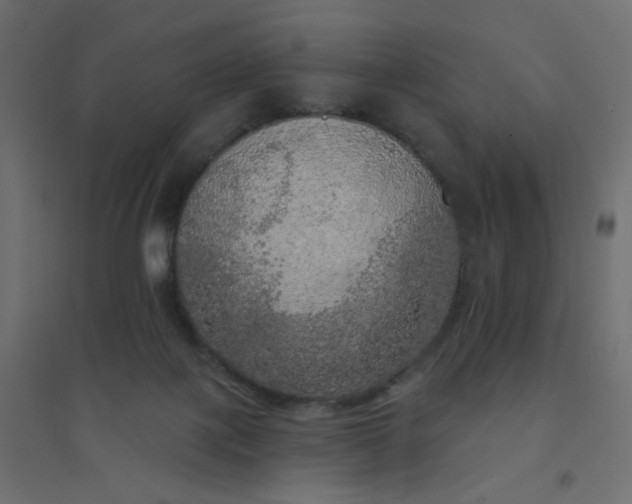 X0000094460075200711211550