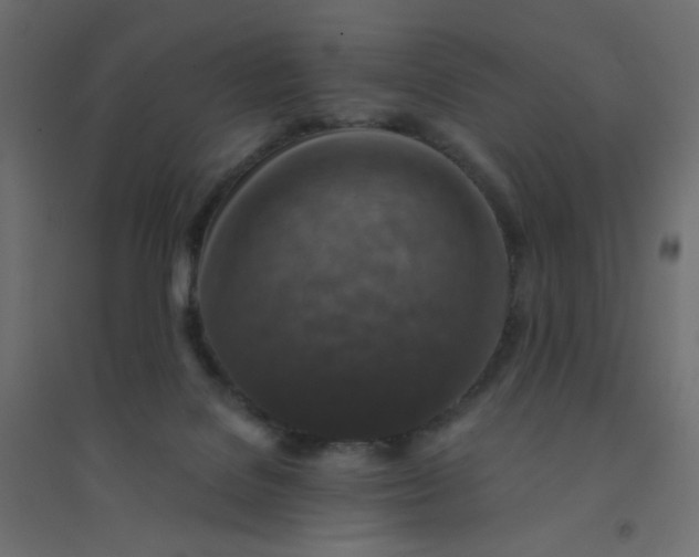 X0000094460076200711211550