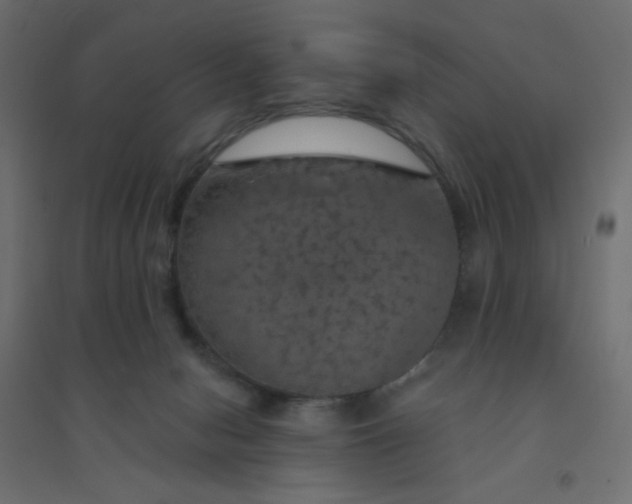 X0000094460078200711211550