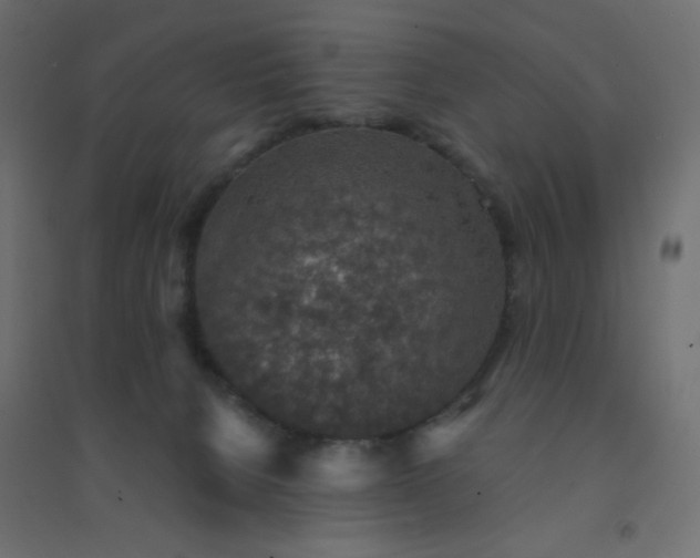 X0000094460080200711211550