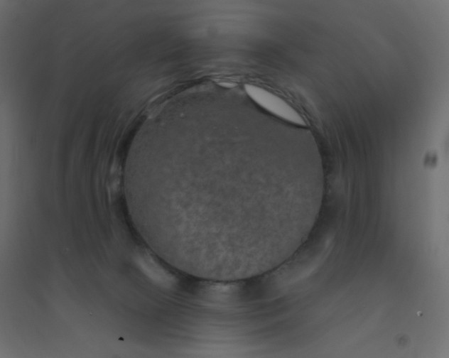 X0000094460081200711211550