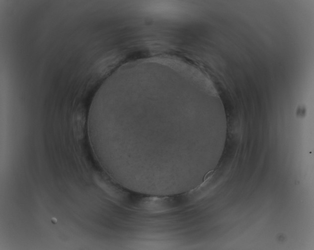 X0000094460082200711211550