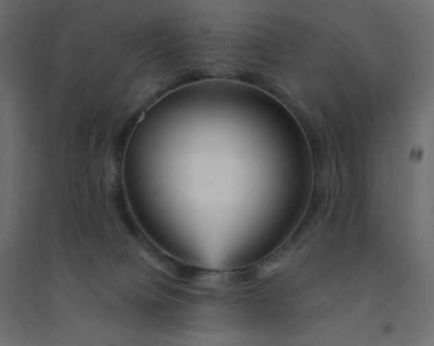 X0000094460084200711211550