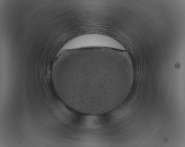 X0000094460085200711211550