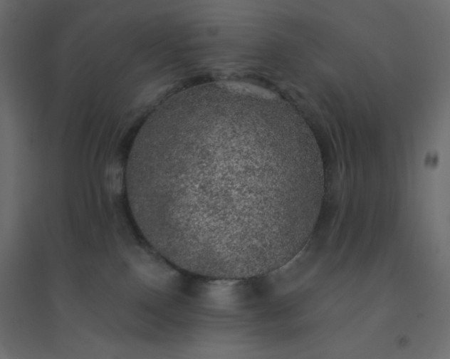 X0000094460090200711211550