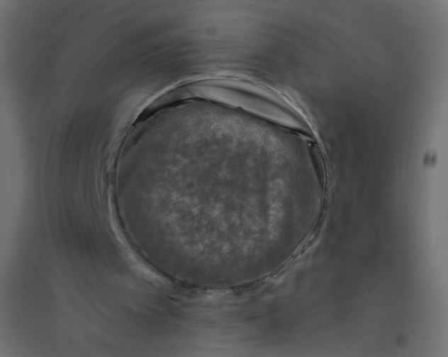 X0000094460097200711211550