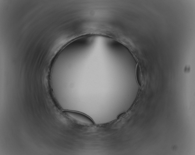 X0000094460098200711211550