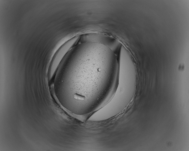 X0000094460100200711211550