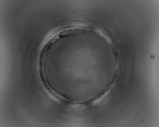 X0000094460101200711211549