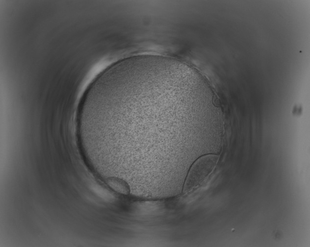 X0000094460102200711211549