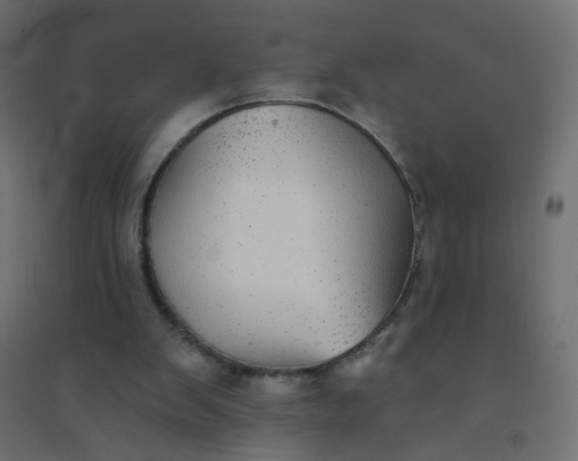 X0000094460103200711211549