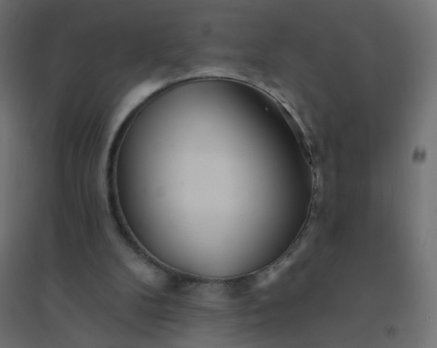 X0000094460104200711211549