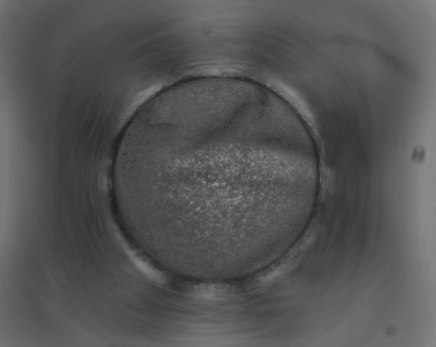 X0000094460105200711211549