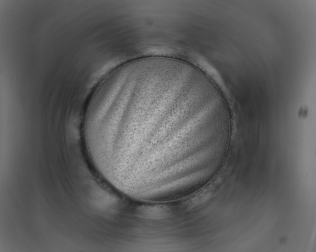 X0000094460106200711211549