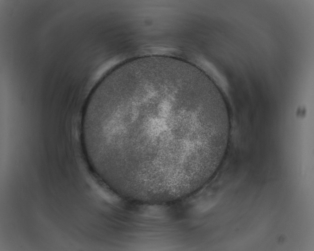 X0000094460107200711211549