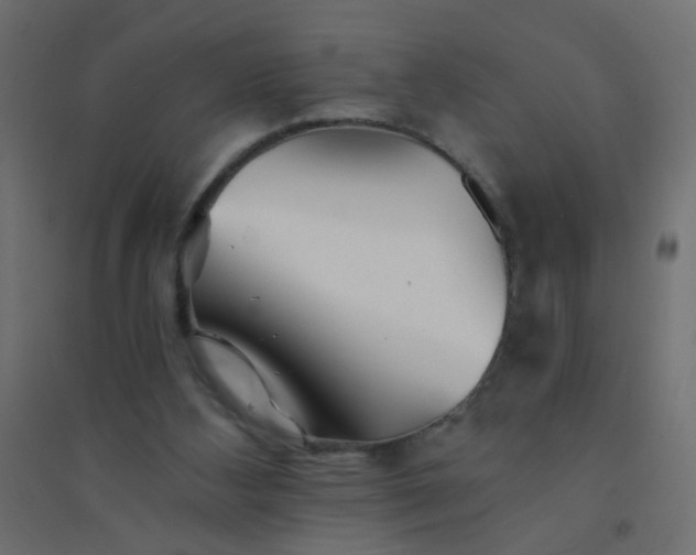 X0000094460108200711211549