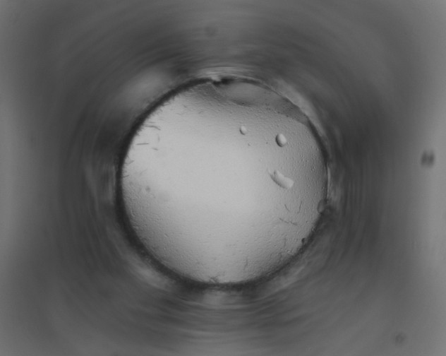 X0000094460109200711211549